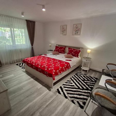Apartament Claudia Deva Buitenkant foto